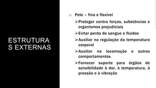 ESTRUTURA
S EXTERNAS
o Pele – fina e flexível
Proteger contra forças, substâncias e
organismos prejudiciais
Evitar perda de sangue e fluidos
Auxiliar na regulação da temperatura
corporal
Auxiliar na locomoção e outros
comportamentos
Fornecer suporte para órgãos de
sensibilidade à dor, à temperatura, à
pressão e à vibração
 