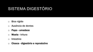 SISTEMA DIGESTÓRIO
o Bico rígido
o Ausência de dentes
o Papo - umedece
o Moela - tritura
o Intestino
o Cloaca - digestório e reprodutivo
 