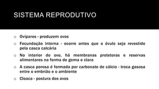 SISTEMA REPRODUTIVO
o Ovíparos - produzem ovos
o Fecundação interna - ocorre antes que o óvulo seja revestido
pela casca calcária
o No interior do ovo, há membranas protetoras e reservas
alimentares na forma de gema e clara
o A casca porosa é formada por carbonato de cálcio - troca gasosa
entre o embrião e o ambiente
o Cloaca - postura dos ovos
 