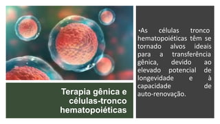 Terapia gênica e
células-tronco
hematopoiéticas
•As células tronco
hematopoiéticas têm se
tornado alvos ideais
para a transferência
gênica, devido ao
elevado potencial de
longevidade e à
capacidade de
auto-renovação.
 