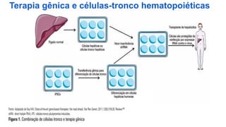Terapia gênica e células-tronco hematopoiéticas
 