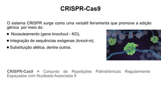 O sistema CRISPR surge como uma versátil ferramenta que promove a edição
gênica por meio do:
● Nocauteamento (gene knockout - KO),
●Integração de sequências exógenas (knock-in),
●Substituição alélica, dentre outros.
CRISPR-Cas9 = Conjunto de Repetições Palindrômicas Regularmente
Espaçadas com Nuclease Associada 9
CRISPR-Cas9
 