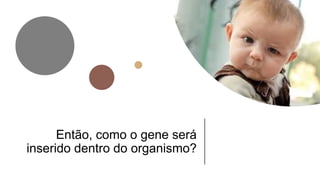Então, como o gene será
inserido dentro do organismo?
 