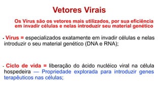- Vírus = especializados exatamente em invadir células e nelas
introduzir o seu material genético (DNA e RNA);
- Ciclo de vida = liberação do ácido nucléico viral na célula
hospedeira — Propriedade explorada para introduzir genes
terapêuticos nas células;
Os Vírus são os vetores mais utilizados, por sua eficiência
em invadir células e nelas introduzir seu material genético
Vetores Virais
 