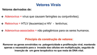 Vetores derivados de:
❖ Adenovírus = vírus que causam faringites ou conjuntivites);
❖ Retrovírus = HTLV (leucemias) e HIV - lentivírus;
❖ Adenovírus-associados = não patogênicos para os seres humanos.
Vetores Virais
Princípio da construção de vetores:
Remover os genes envolvidos na patogenicidade e proliferação viral, mantendo
apenas o necessário para a invasão das células em multiplicação, seguida da
inserção de um gene terapêutico no que resta de DNA vital.
 