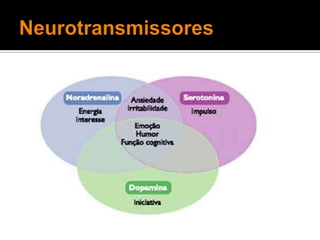 Neurotransmissores