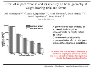 A geometria do osso adaptou-se ao exercício de impacto, especialmente na região média do fêmur.  O número e intensidade de impactos diários são os principais fatores influenciando a adaptação De acordo com a  Lei de Wolff , a densidade, e em menor proporção o tamanho e a forma, dos ossos são determinadas pela magnitude e direção das  forças  atuando sobre eles. 