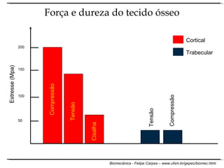 Compressão Tensão Cisalha Estresse (Mpa) 200 150 100 50 Tensão Compressão Força e dureza do tecido ósseo Cortical Trabecular 