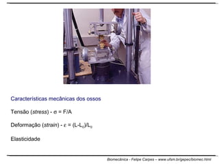 Características mecânicas dos ossos Tensão ( stress ) -    = F/A Deformação ( strain ) -    = (L-L 0 )/L 0 Elasticidade 