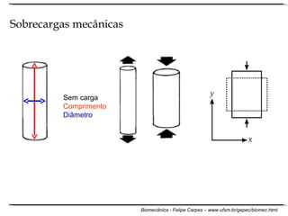 Sem carga Comprimento Diâmetro Sobrecargas mecânicas 