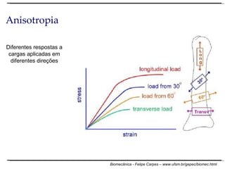 Anisotropia Diferentes respostas a cargas aplicadas em diferentes direções 
