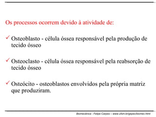 Os processos ocorrem devido à atividade de: Osteoblasto - célula óssea responsável pela produção de tecido ósseo Osteoclasto - célula óssea responsável pela reabsorção de tecido ósseo   Osteócito - osteoblastos envolvidos pela própria matriz que produziram. 