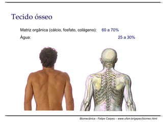 Matriz orgânica (cálcio, fosfato, colágeno):  60 a 70% Água: 25 a 30% Tecido ósseo 
