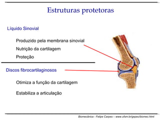 Líquido Sinovial Produzido pela membrana sinovial Nutrição da cartilagem Proteção Discos fibrocartilaginosos Otimiza a função da cartilagem Estabiliza a articulação Estruturas protetoras 