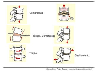 Compressão Tensão/ Compressão Cisalhamento Torção 