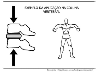 EXEMPLO DA APLICAÇÃO NA COLUNA VERTEBRAL 