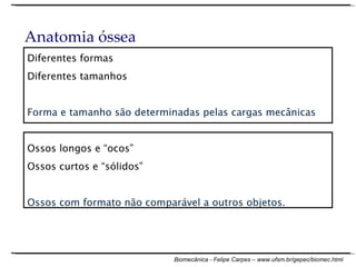 Diferentes formas Diferentes tamanhos Forma e tamanho são determinadas pelas cargas mecânicas Ossos longos e “ocos” Ossos curtos e “sólidos” Ossos com formato não comparável a outros objetos. Anatomia óssea 