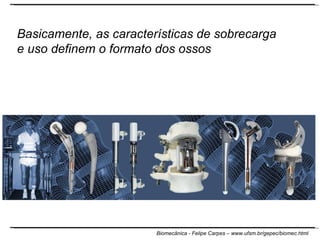 Basicamente, as características de sobrecarga e uso definem o formato dos ossos 