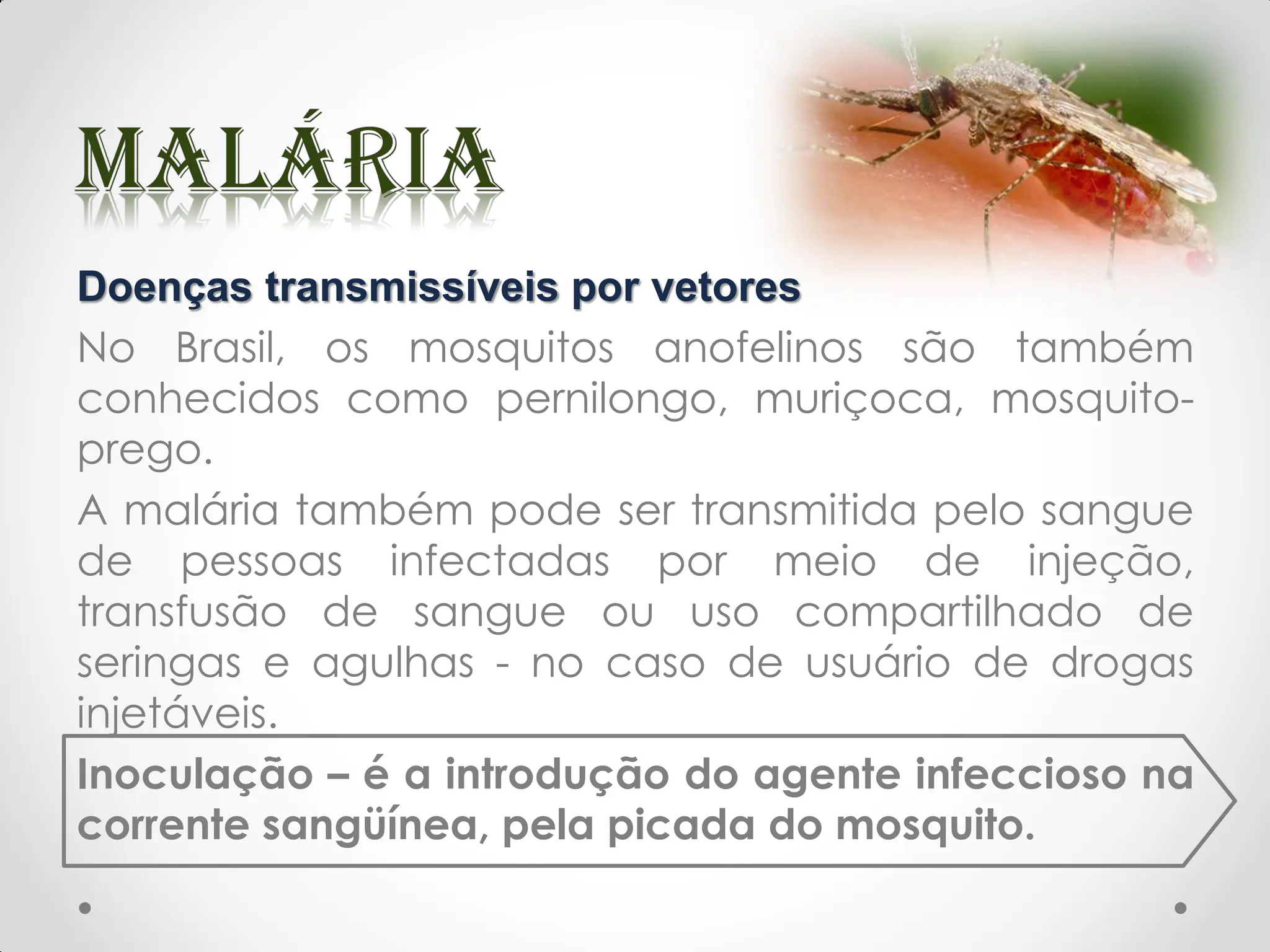 Doenças transmissíveis por vetores
No Brasil, os mosquitos anofelinos são também
conhecidos como pernilongo, muriçoca, mosquito-
prego.
A malária também pode ser transmitida pelo sangue
de pessoas infectadas por meio de injeção,
transfusão de sangue ou uso compartilhado de
seringas e agulhas - no caso de usuário de drogas
injetáveis.
Inoculação – é a introdução do agente infeccioso na
corrente sangüínea, pela picada do mosquito.
 
