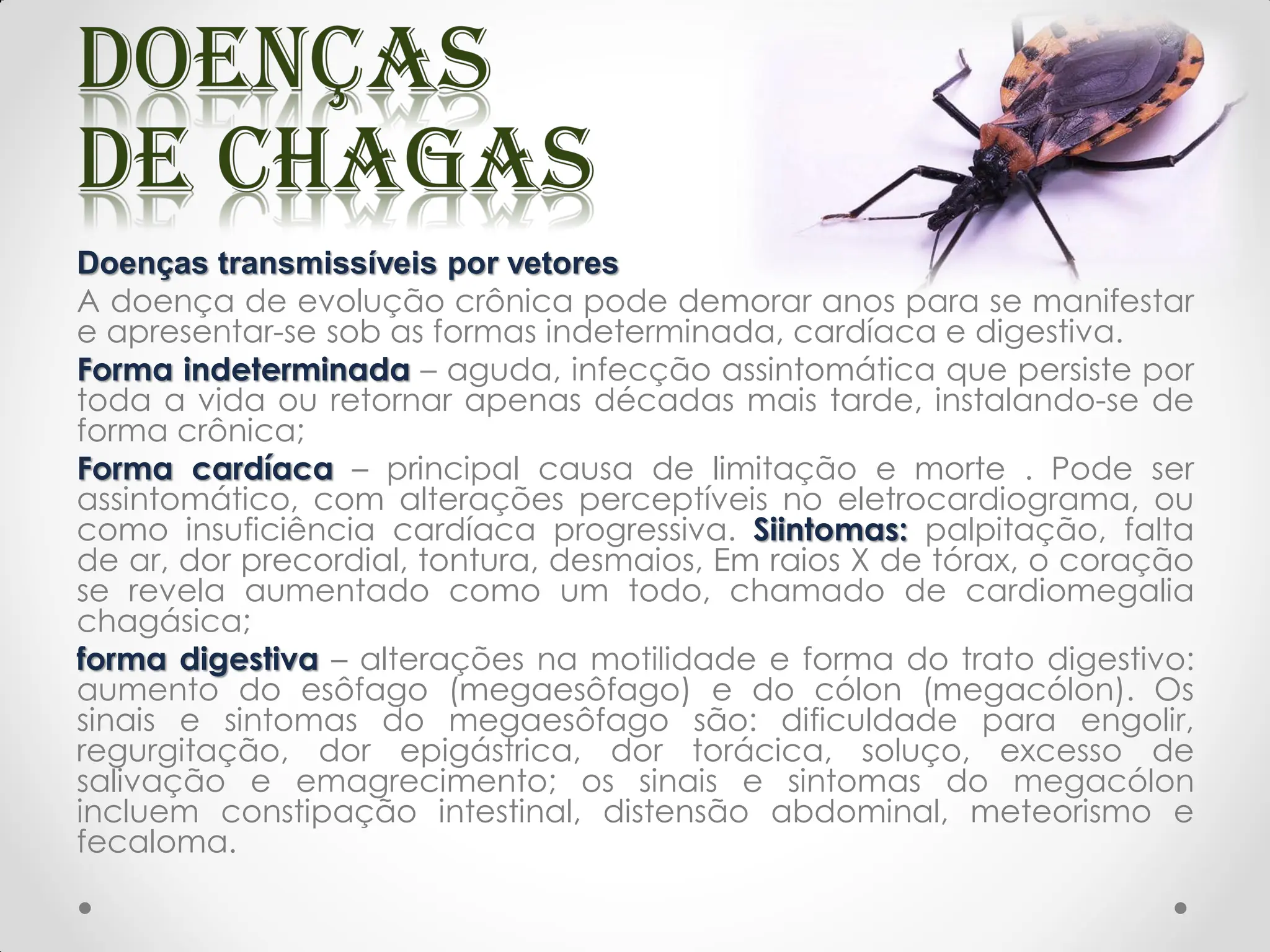 Doenças transmissíveis por vetores
A doença de evolução crônica pode demorar anos para se manifestar
e apresentar-se sob as formas indeterminada, cardíaca e digestiva.
Forma indeterminada – aguda, infecção assintomática que persiste por
toda a vida ou retornar apenas décadas mais tarde, instalando-se de
forma crônica;
Forma cardíaca – principal causa de limitação e morte . Pode ser
assintomático, com alterações perceptíveis no eletrocardiograma, ou
como insuficiência cardíaca progressiva. Siintomas: palpitação, falta
de ar, dor precordial, tontura, desmaios, Em raios X de tórax, o coração
se revela aumentado como um todo, chamado de cardiomegalia
chagásica;
forma digestiva – alterações na motilidade e forma do trato digestivo:
aumento do esôfago (megaesôfago) e do cólon (megacólon). Os
sinais e sintomas do megaesôfago são: dificuldade para engolir,
regurgitação, dor epigástrica, dor torácica, soluço, excesso de
salivação e emagrecimento; os sinais e sintomas do megacólon
incluem constipação intestinal, distensão abdominal, meteorismo e
fecaloma.
 