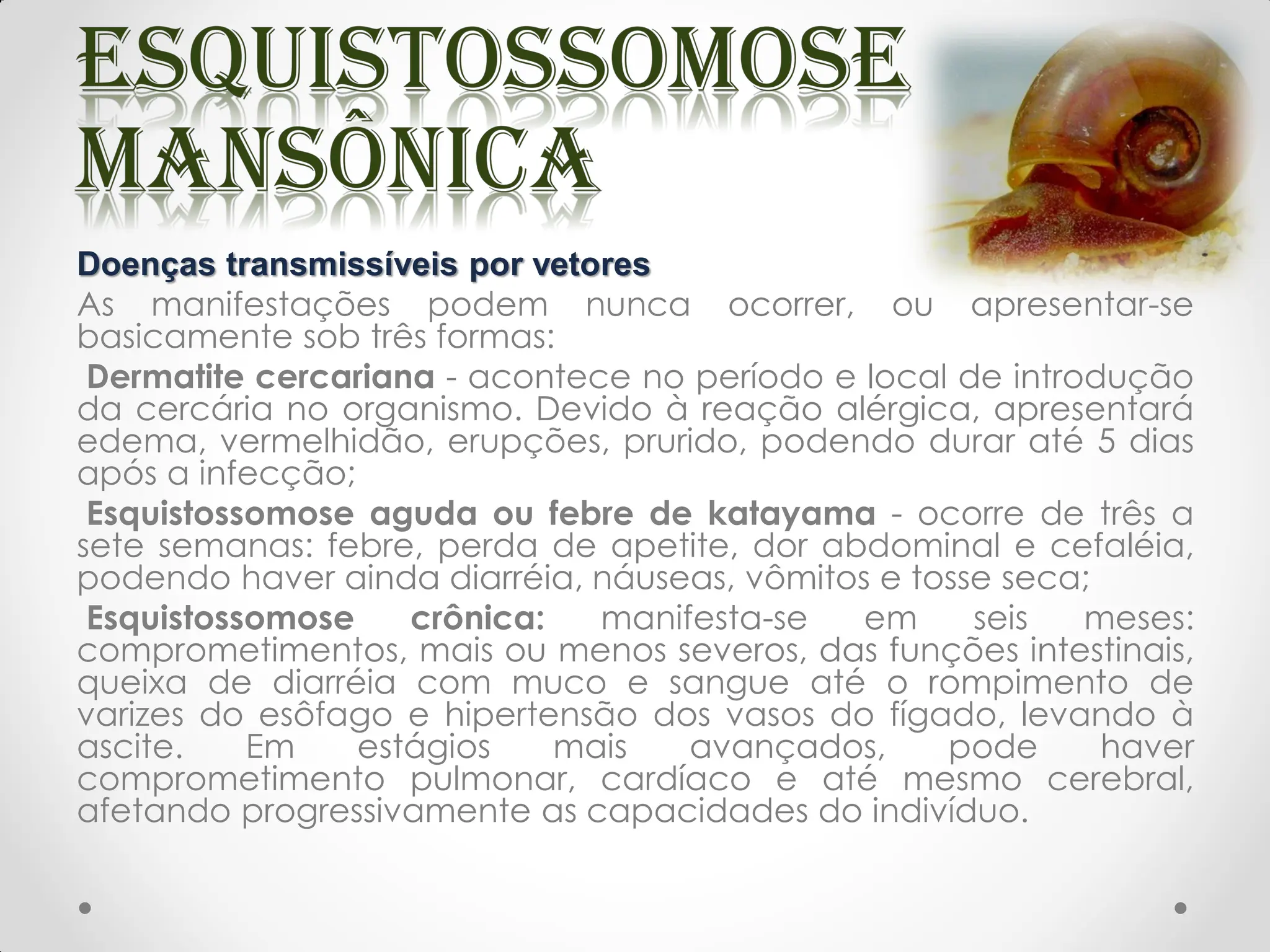 Doenças transmissíveis por vetores
As manifestações podem nunca ocorrer, ou apresentar-se
basicamente sob três formas:
Dermatite cercariana - acontece no período e local de introdução
da cercária no organismo. Devido à reação alérgica, apresentará
edema, vermelhidão, erupções, prurido, podendo durar até 5 dias
após a infecção;
Esquistossomose aguda ou febre de katayama - ocorre de três a
sete semanas: febre, perda de apetite, dor abdominal e cefaléia,
podendo haver ainda diarréia, náuseas, vômitos e tosse seca;
Esquistossomose crônica: manifesta-se em seis meses:
comprometimentos, mais ou menos severos, das funções intestinais,
queixa de diarréia com muco e sangue até o rompimento de
varizes do esôfago e hipertensão dos vasos do fígado, levando à
ascite. Em estágios mais avançados, pode haver
comprometimento pulmonar, cardíaco e até mesmo cerebral,
afetando progressivamente as capacidades do indivíduo.
 