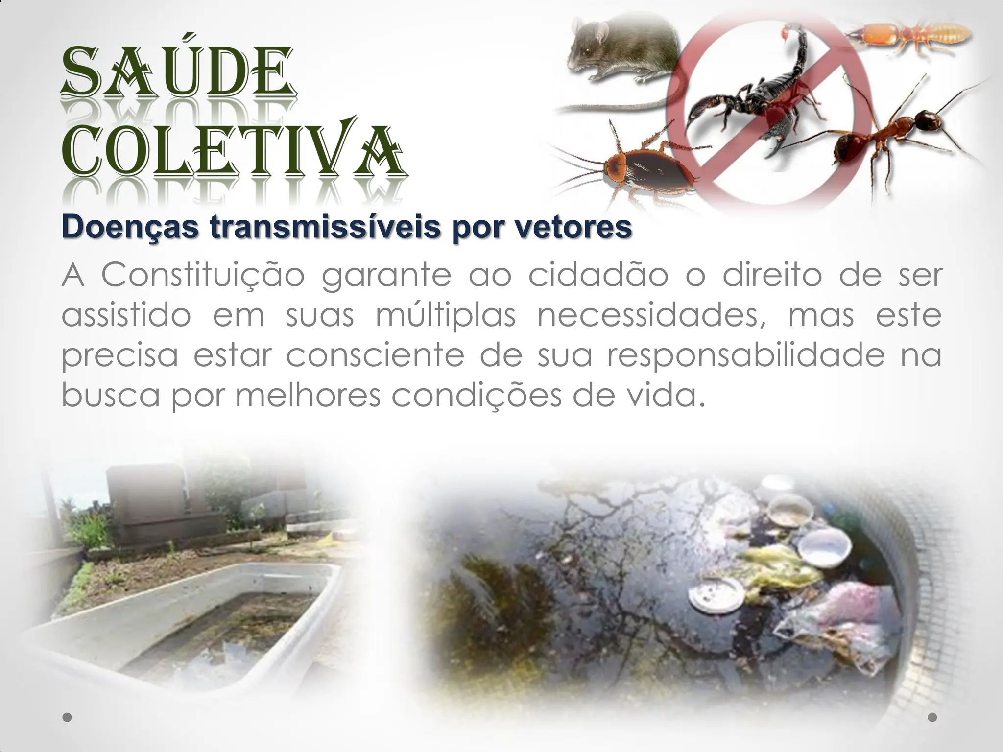 Doenças transmissíveis por vetores
A Constituição garante ao cidadão o direito de ser
assistido em suas múltiplas necessidades, mas este
precisa estar consciente de sua responsabilidade na
busca por melhores condições de vida.
 