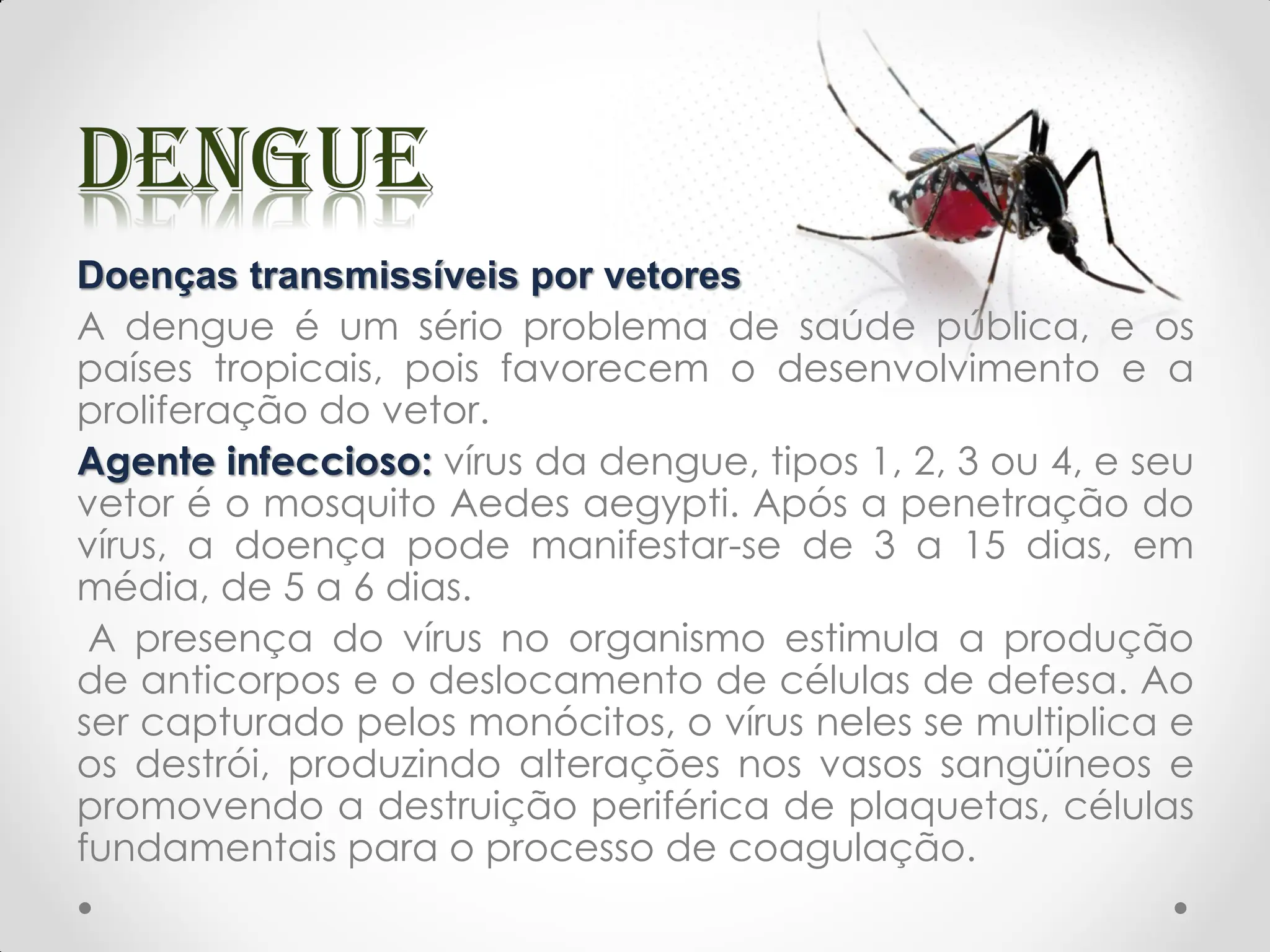 Doenças transmissíveis por vetores
A dengue é um sério problema de saúde pública, e os
países tropicais, pois favorecem o desenvolvimento e a
proliferação do vetor.
Agente infeccioso: vírus da dengue, tipos 1, 2, 3 ou 4, e seu
vetor é o mosquito Aedes aegypti. Após a penetração do
vírus, a doença pode manifestar-se de 3 a 15 dias, em
média, de 5 a 6 dias.
A presença do vírus no organismo estimula a produção
de anticorpos e o deslocamento de células de defesa. Ao
ser capturado pelos monócitos, o vírus neles se multiplica e
os destrói, produzindo alterações nos vasos sangüíneos e
promovendo a destruição periférica de plaquetas, células
fundamentais para o processo de coagulação.
 
