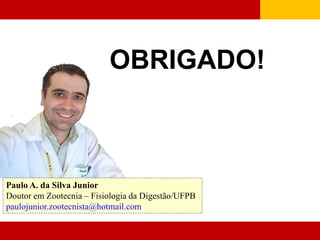 OBRIGADO!
Paulo A. da Silva Junior
Doutor em Zootecnia – Fisiologia da Digestão/UFPB
paulojunior.zootecnista@hotmail.com
 