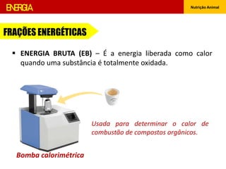 ENERGIA Nutrição Animal
 ENERGIA BRUTA (EB) – É a energia liberada como calor
quando uma substância é totalmente oxidada.
FRAÇÕES ENERGÉTICAS
Usada para determinar o calor de
combustão de compostos orgânicos.
Bomba calorimétrica
 