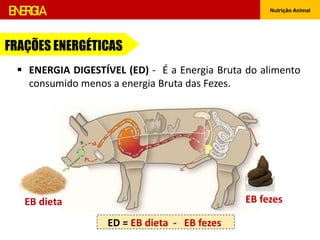 ENERGIA Nutrição Animal
 ENERGIA DIGESTÍVEL (ED) - É a Energia Bruta do alimento
consumido menos a energia Bruta das Fezes.
FRAÇÕES ENERGÉTICAS
EB dieta EB fezes
ED = EB dieta - EB fezes
 