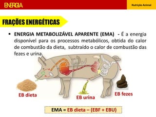 EB dieta EB fezes
EB urina
ENERGIA Nutrição Animal
 ENERGIA METABOLIZÁVEL APARENTE (EMA) - É a energia
disponível para os processos metabólicos, obtida do calor
de combustão da dieta, subtraído o calor de combustão das
fezes e urina.
EMA = EB dieta – (EBF + EBU)
FRAÇÕES ENERGÉTICAS
 