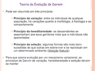 Teoria da Evolução de Darwin
 