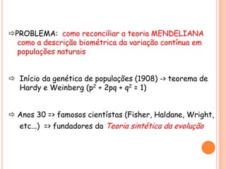 PROBLEMA: como reconciliar a teoria MENDELIANA
como a descrição biométrica da variação contínua em
populações naturais
 Início da genética de populações (1908) -> teorema de
Hardy e Weinberg (p2 + 2pq + q2 = 1)
 Anos 30 => famosos cientístas (Fisher, Haldane, Wright,
etc...) => fundadores da Teoria sintética da evolução
 