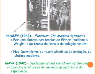 HUXLEY (1942) - Evolution: The Modern Synthesis
-> Fez uma síntese das teorias de Fisher, Haldane e
Wright, e da teoria de Darwin da seleção natural
-> Neo-Darwinismo, ou teoria sintética da evolução, ou
síntese moderna.
MAYR (1942) - Systematics and the Origin of Species
-> Elucidou a natureza da variação geográfica e da
especiação.
 
