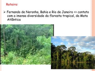 Roteiro:
 Fernando de Noronha, Bahia e Rio de Janeiro => contato
com a imensa diversidade da floresta tropical, da Mata
Atlântica
 