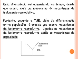Essa divergência vai aumentando no tempo, desde
que ocorra mais um mecanismo  mecanismos de
isolamento reprodutivo.
Portanto, segundo a TSE, além da diferenciação
entre populações, é preciso que ocorra mecanismos
de isolamento reprodutivo. Ligados ao mecanismos
de isolamento reprodutivo estão os mecanismos de
especiação.
subespécie
raças
pop.
 