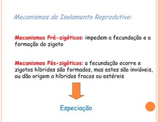Mecanismos de Isolamento Reprodutivo:
Mecanismos Pré-zigóticos: impedem a fecundação e a
formação do zigoto
Mecanismos Pós-zigóticos: a fecundação ocorre e
zigotos híbridos são formados, mas estes são inviáveis,
ou dão origem a híbridos fracos ou estéreis
Especiação
 