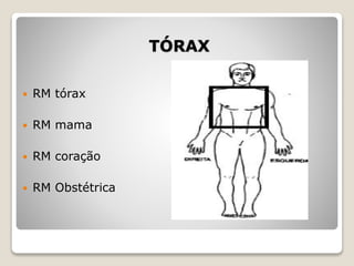 TÓRAX
 RM tórax
 RM mama
 RM coração
 RM Obstétrica
 