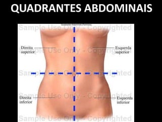 QUADRANTES ABDOMINAIS
 