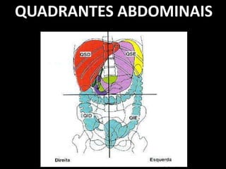 QUADRANTES ABDOMINAIS
 