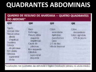 QUADRANTES ABDOMINAIS
 