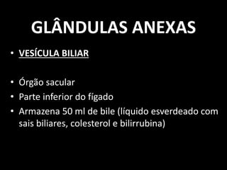GLÂNDULAS ANEXAS
• VESÍCULA BILIAR
• Órgão sacular
• Parte inferior do fígado
• Armazena 50 ml de bile (líquido esverdeado com
sais biliares, colesterol e bilirrubina)
 