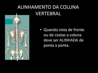 ALINHAMENTO DA COLUNA
VERTEBRAL
• Quando vista de frente
ou de costas a coluna
deve ser ALINHADA de
ponta a ponta.
 