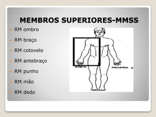 MEMBROS SUPERIORES-MMSS
 RM ombro
 RM braço
 RM cotovelo
 RM antebraço
 RM punho
 RM mão
 RM dedo
 