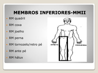 MEMBROS INFERIORES-MMII
 RM quadril
 RM coxa
 RM joelho
 RM perna
 RM tornozelo/retro pé
 RM ante pé
 RM hálux
 