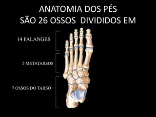 ANATOMIA DOS PÉS
SÃO 26 OSSOS DIVIDIDOS EM
14 FALANGES
5 METATARSOS
7 OSSOS DO TARSO
 