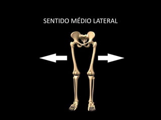 SENTIDO MÉDIO LATERAL
 