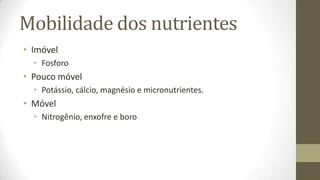 Mobilidade dos nutrientes
• Imóvel
  • Fosforo
• Pouco móvel
  • Potássio, cálcio, magnésio e micronutrientes.
• Móvel
  • Nitrogênio, enxofre e boro
 