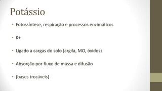 Potássio
• Fotossíntese, respiração e processos enzimáticos

• K+

• Ligado a cargas do solo (argila, MO, óxidos)

• Absorção por fluxo de massa e difusão

• (bases trocáveis)
 