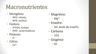 Macronutrientes
• Nitrogênio:               • Magnésio:
  • NO3: nitrato,             • Mg2+
  • NH4: amônio
• Fósforo:                  • Enxofre:
  • H2PO4: Fosfato            • SO: óxido de enxofre
  • HP02: acido fosfórico   • Carbono
• Potássio:                   • CO2
  •   K+
• Cálcio:
                            • Oxigênio
  • Ca2+                      • 02
 